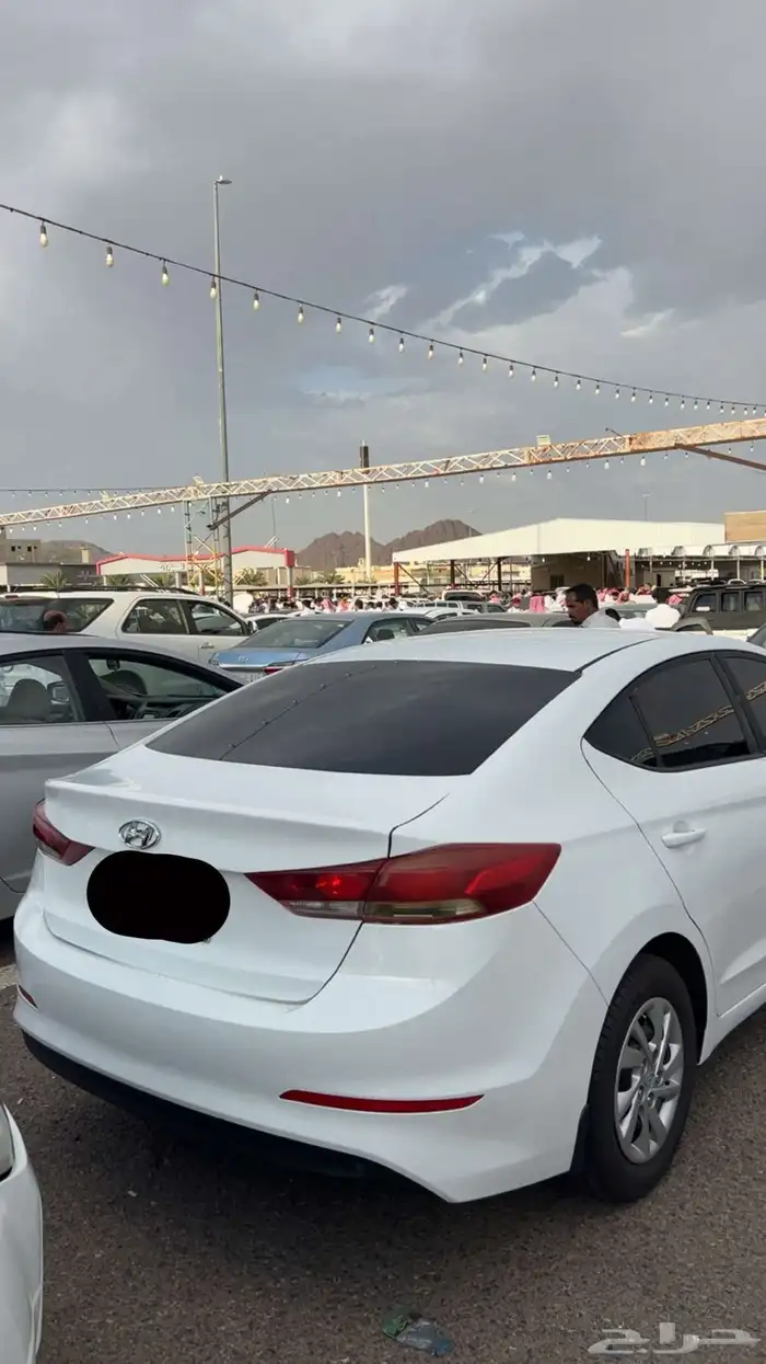 النترا 2017 3
