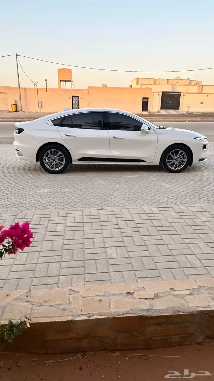 تورس 2024 ترند دفعه ثانيه 7