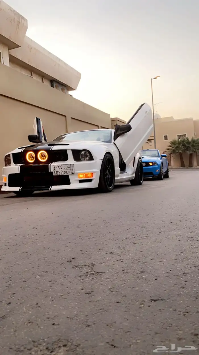 موستنق للبيع موديل 2006 2