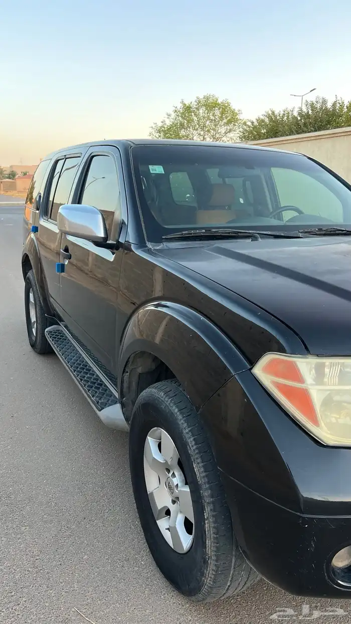 باثفندر 2014 4