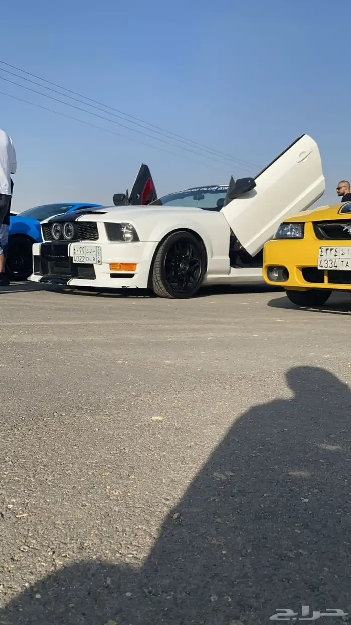 موستنق للبيع موديل 2006 0