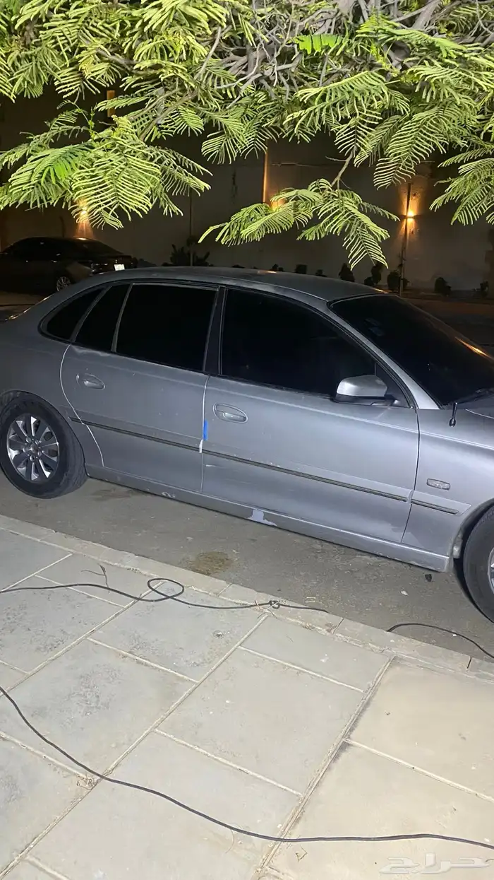 كابرس 2006 15