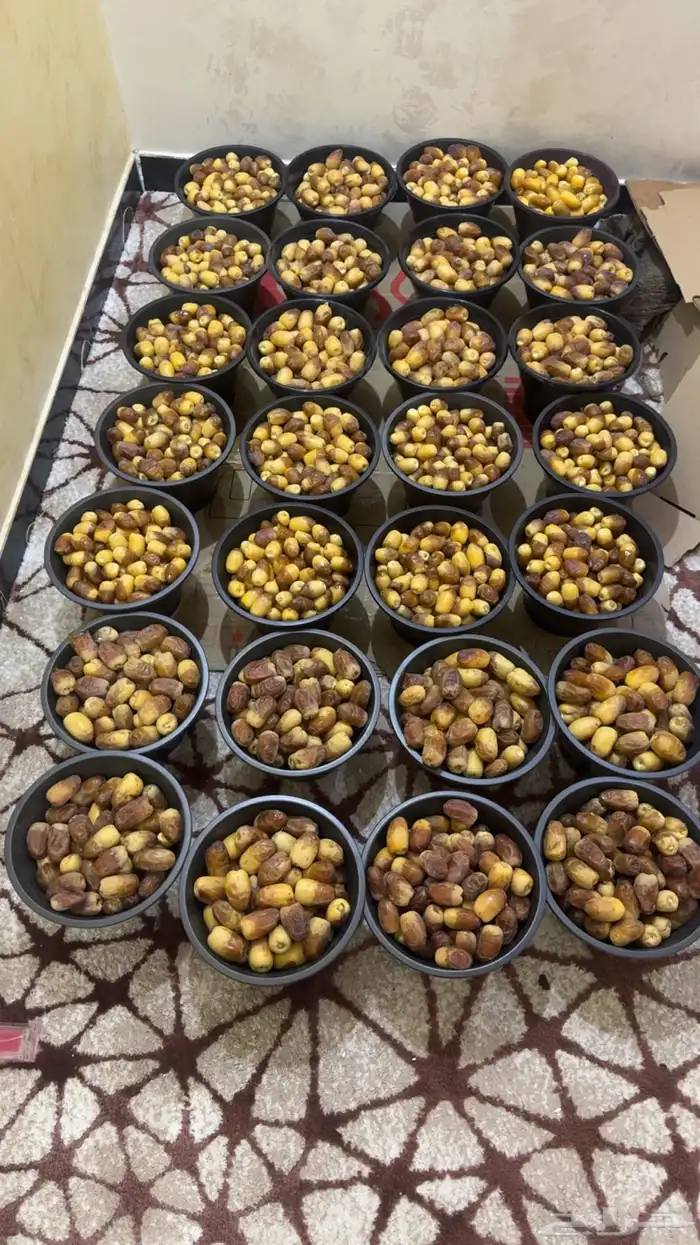 رطب مناصيف يوما خلاص وسكري ومنيفي وسلج وبرحي وحلوة الجوف 2