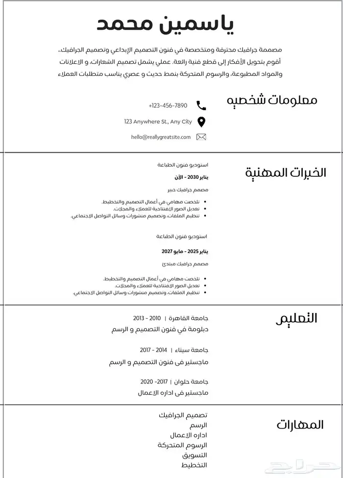 عمل سيرة ذاتية احترافيه بسعر مناسب 1