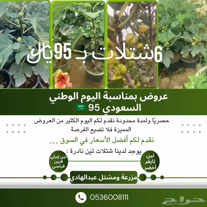 شتلات بخصومات مميزة ومنافسة 1