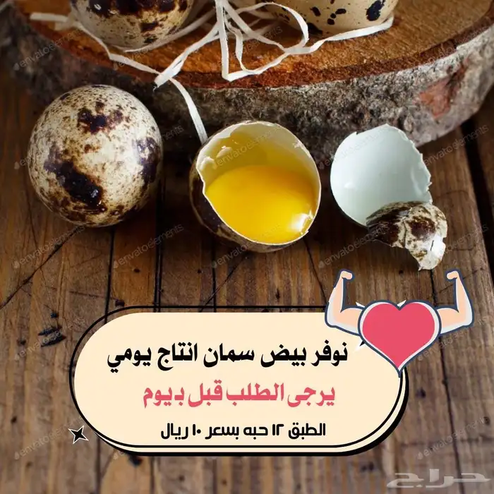 بيض سمان 1