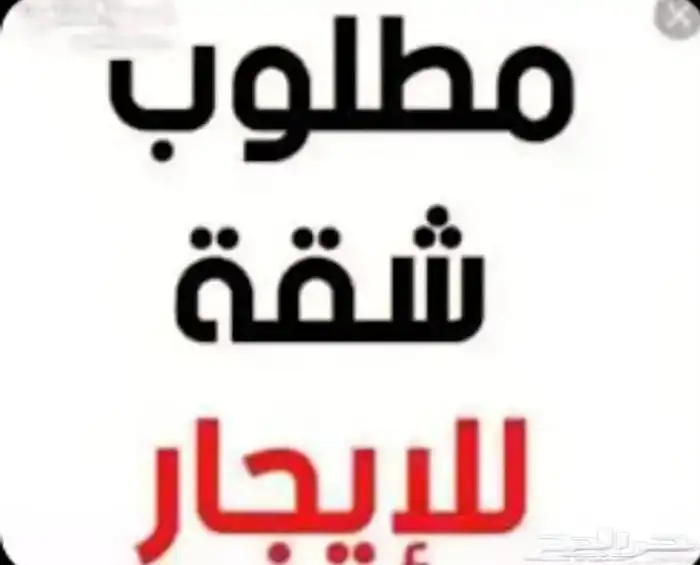 مطلوب شقة للايجار في الشرايع 0