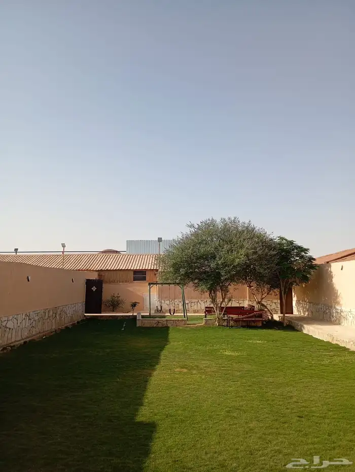 استراحة ساس النخيل 18