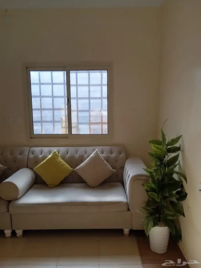استراحة ساس النخيل 11