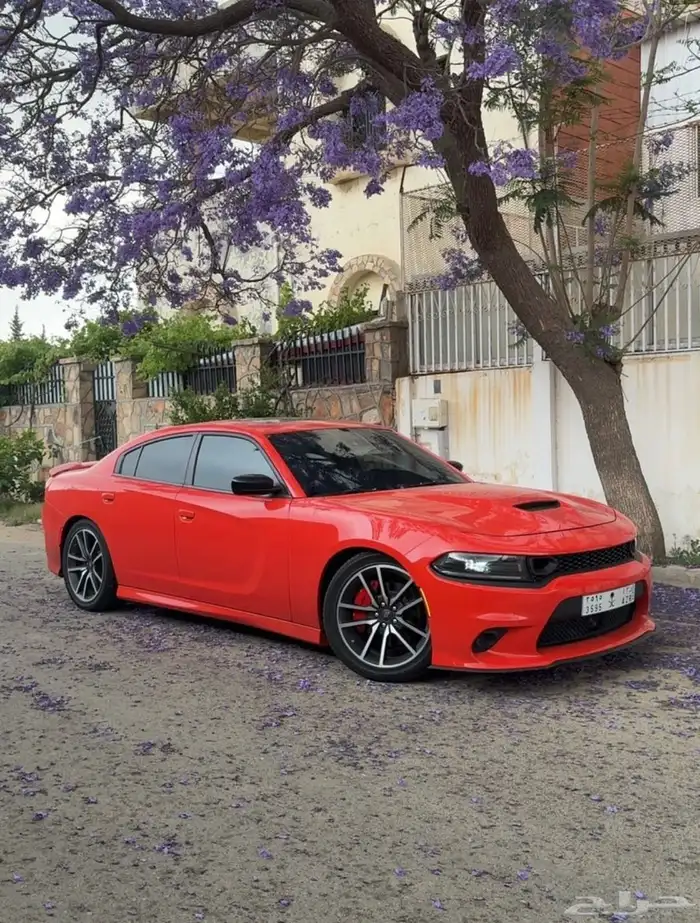 دودج تشارجر آرتي لاست كول - Dodge Charger R T Lastcall 2023 5