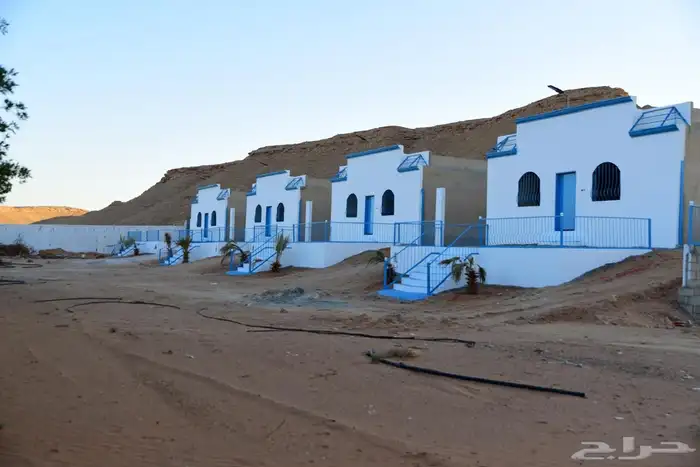 مزرعة 5
