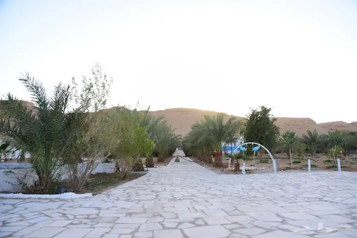 مزرعة 8