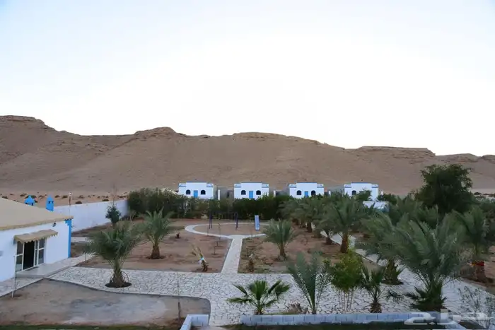 مزرعة 1