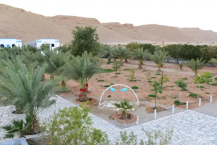 مزرعة 3