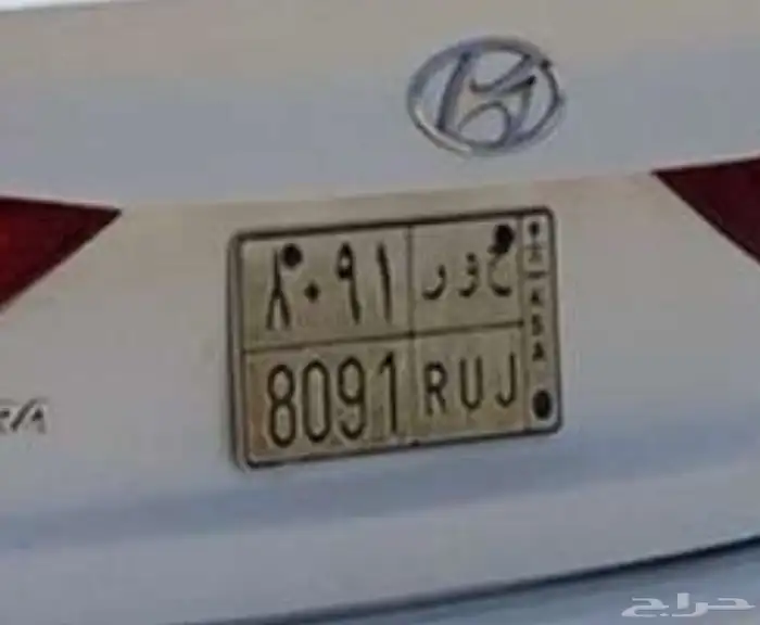 لوحة بأسم حور ( ح و ر 8091) 0