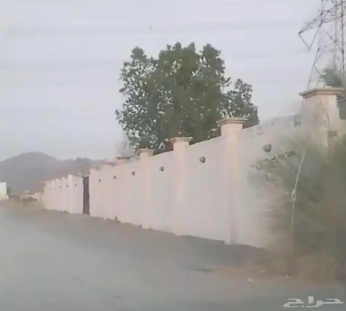حوش للايجار 3