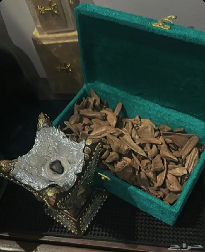 عود طبيعي 0