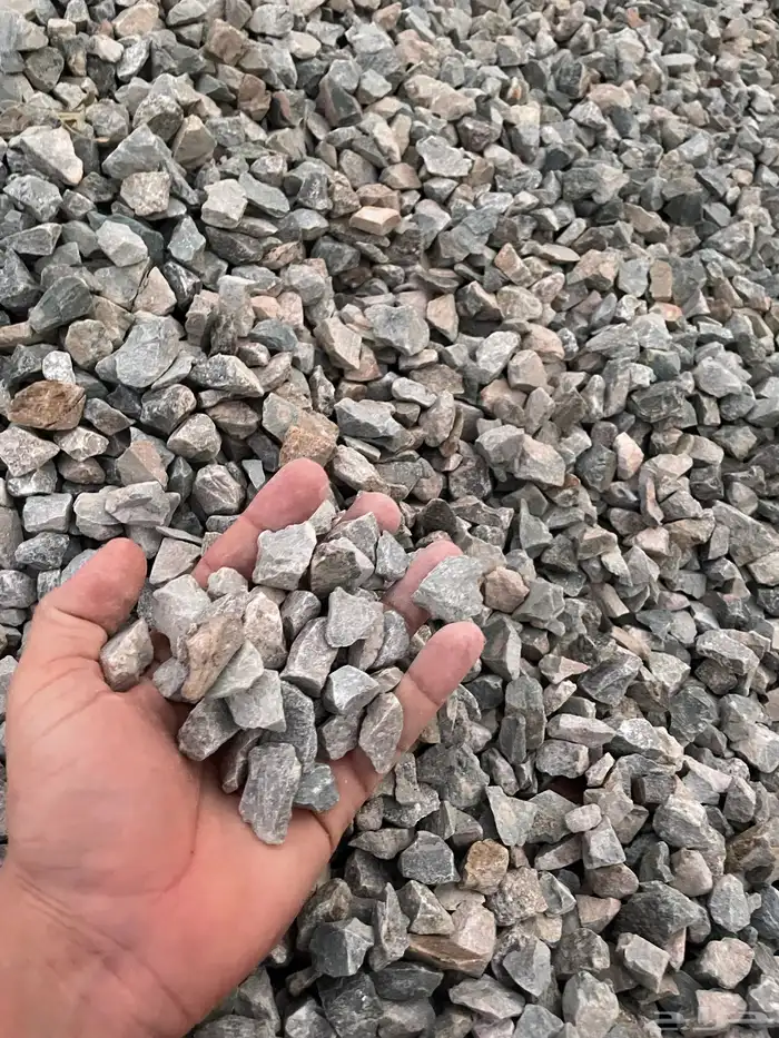 بطحاء الرياض 5