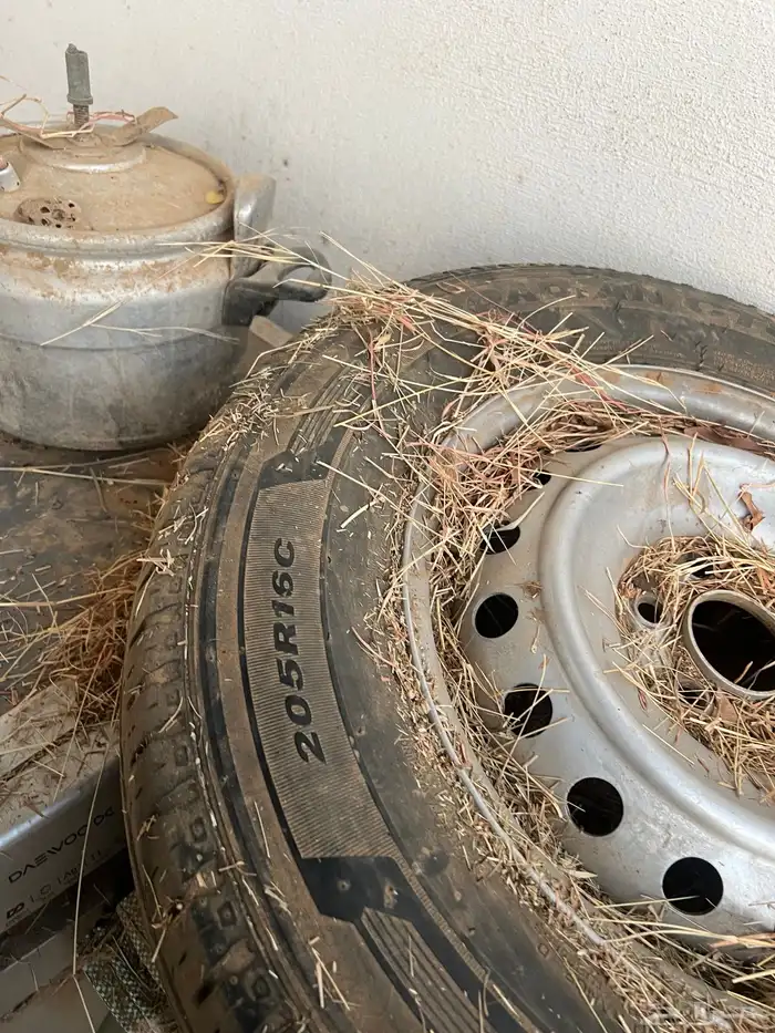 4كفرات مقاس 16 العرض 205 فيه فوق النص عمر 6