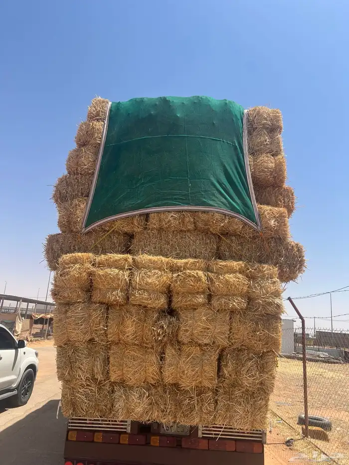 تبن بر 1