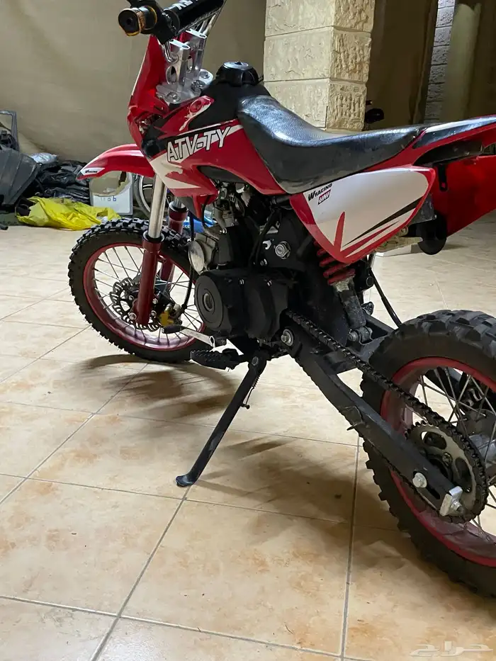 دباب صحراوي 2
