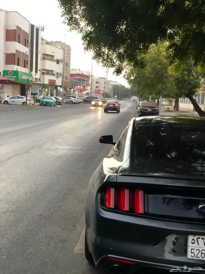 فورد موستنج 2015 ايكوبوست 5