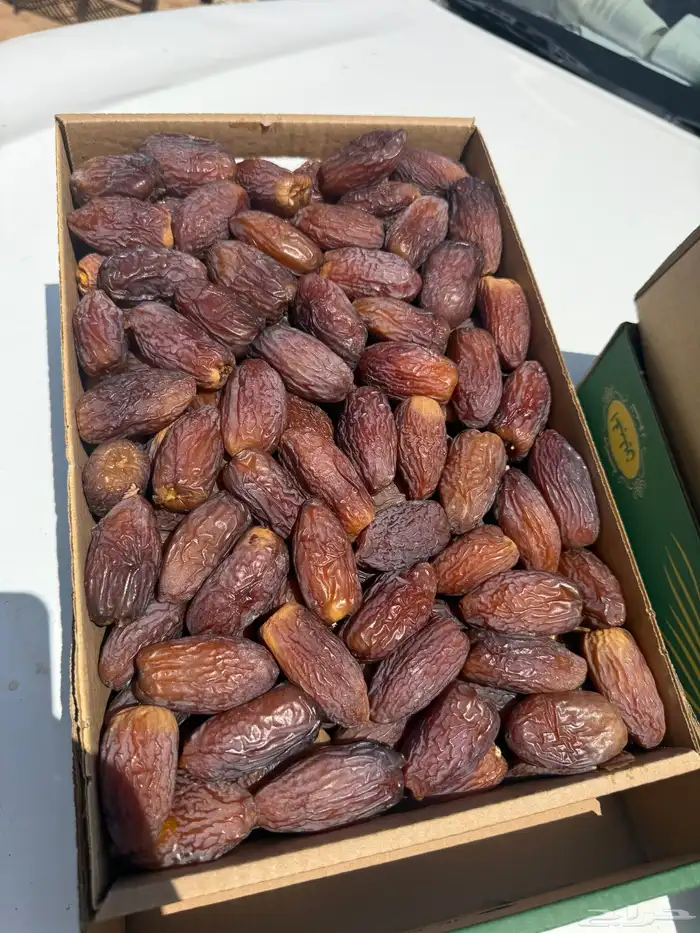 مجدول طيب 2