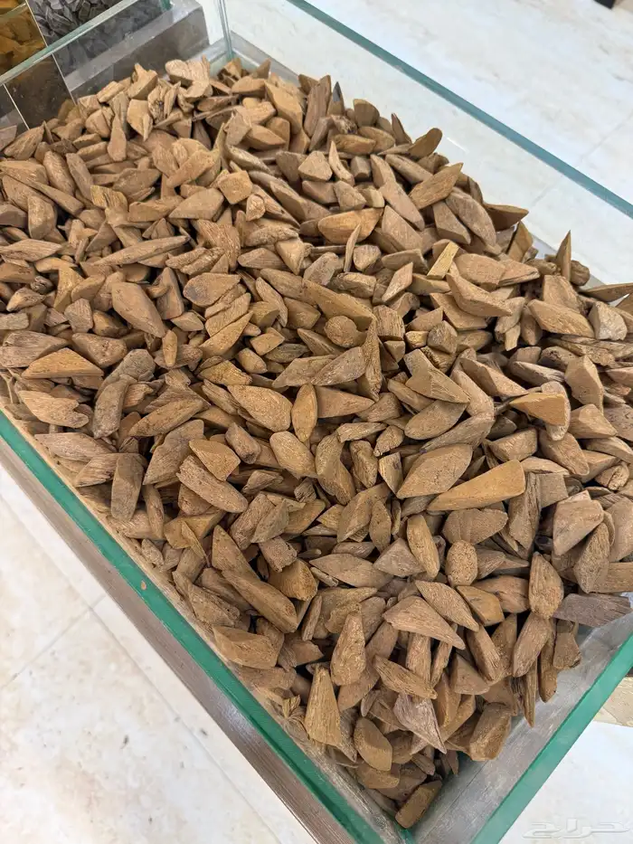 عود مروكي زين (جملة) 1