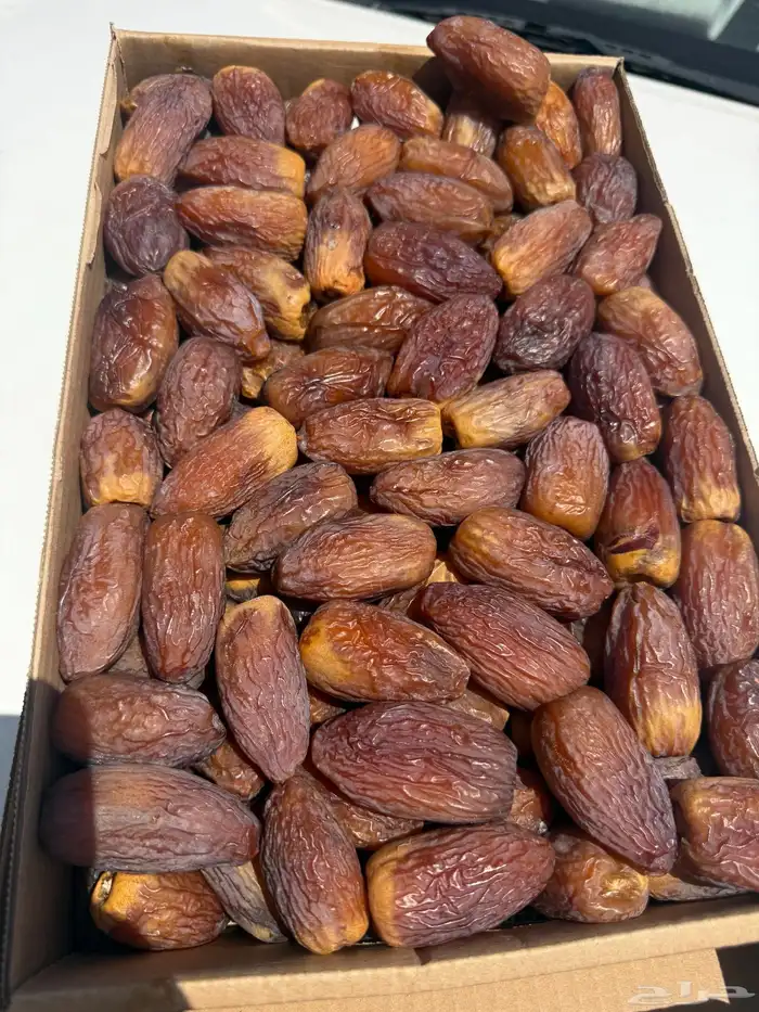 مجدول طيب 0