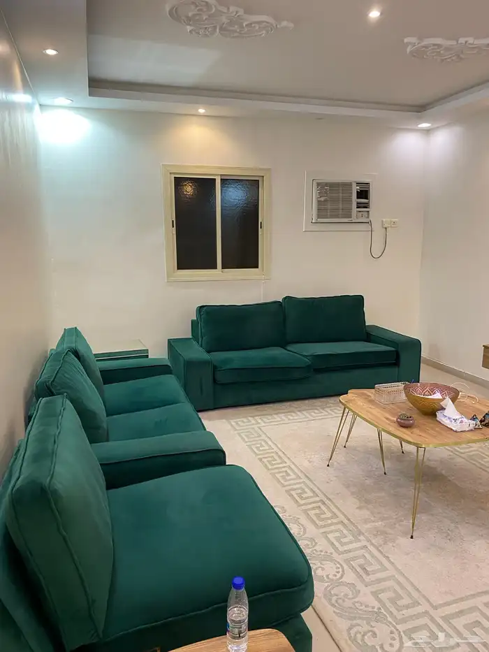 طقم كنب نظيف زيتي 1