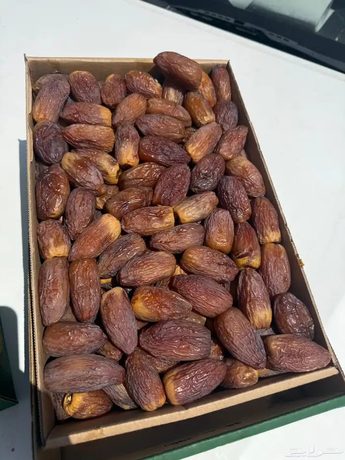 مجدول طيب 1