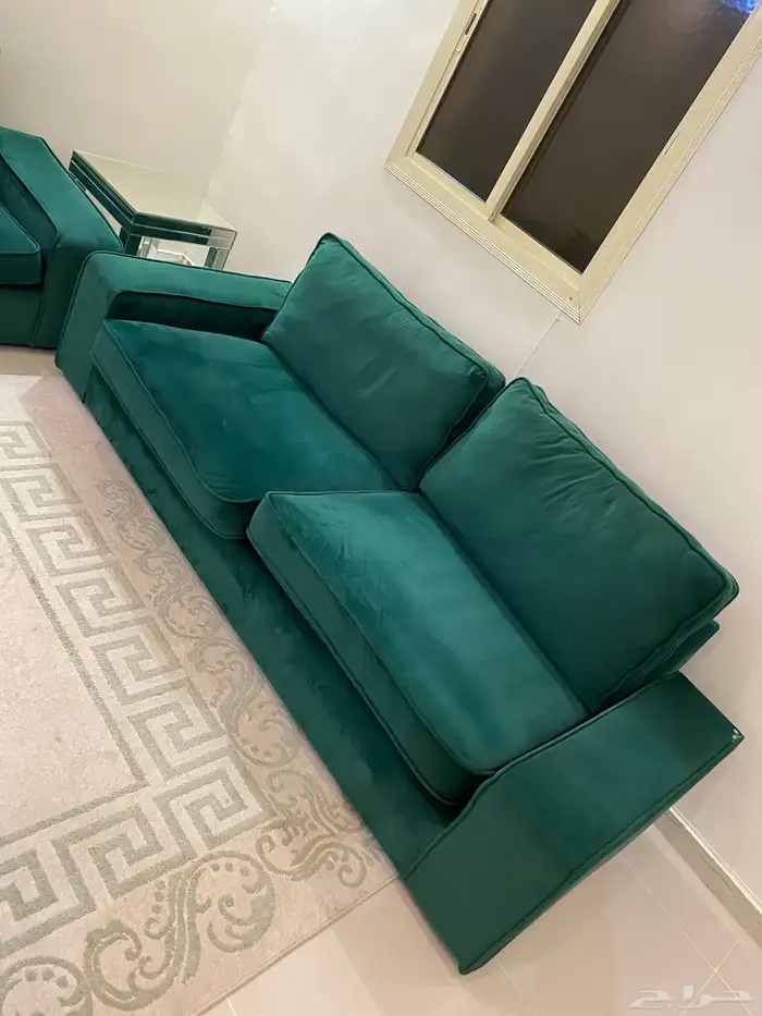 طقم كنب نظيف زيتي 0