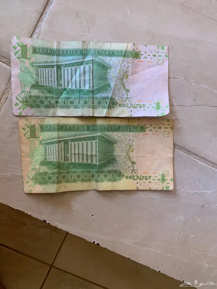 اريال نادرا 1