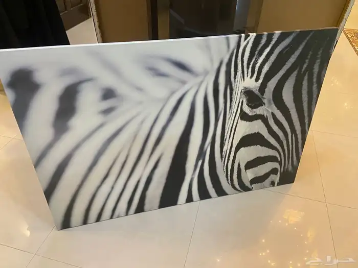 صور جدارية 0