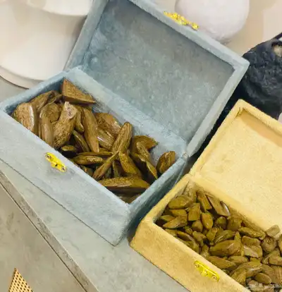 عرض اليوم الوطني ( عود موروكي ) index