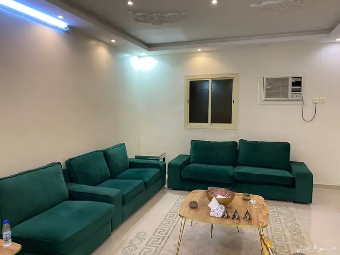 طقم كنب نظيف زيتي 5