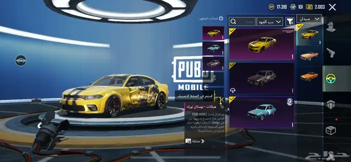 حساب ببجي 17