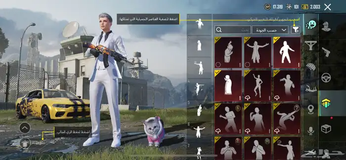 حساب ببجي 21