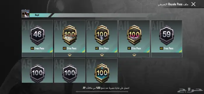 ببجي 13