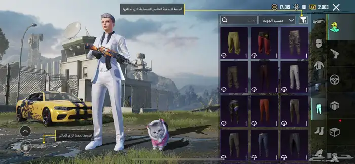 حساب ببجي 14