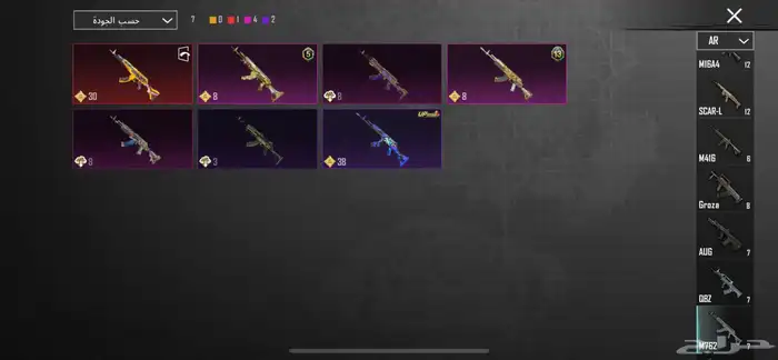 ببجي 17