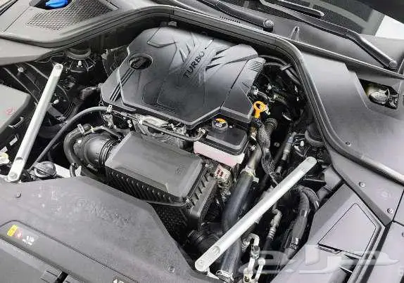 جينسس G80 موديل 2023 الميموني للاستيراد بكوريا 4
