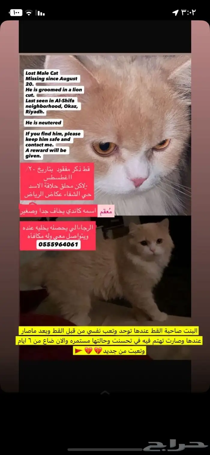 هام جدا جدا جدا 0