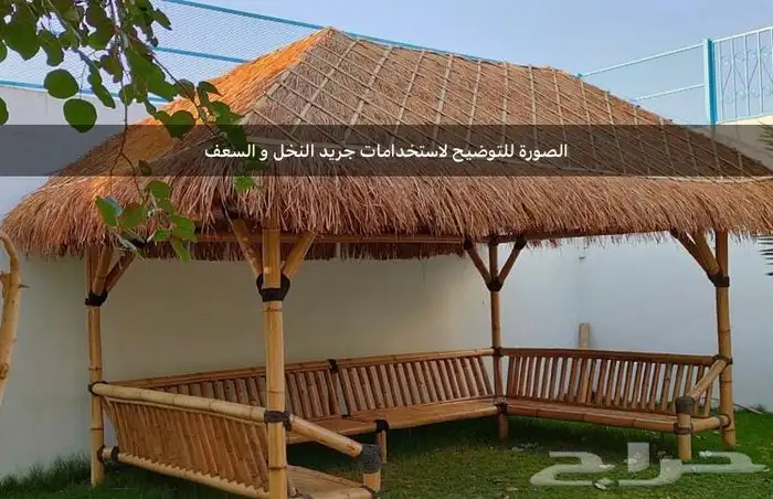 سعف جريد عسيب نخل يصلح للمظلات أو ديكور 3