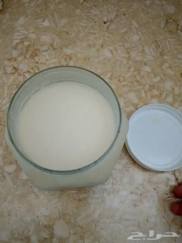للبيع  عسل الأبيض قرغيزستاني نظيف جدا السعر 1