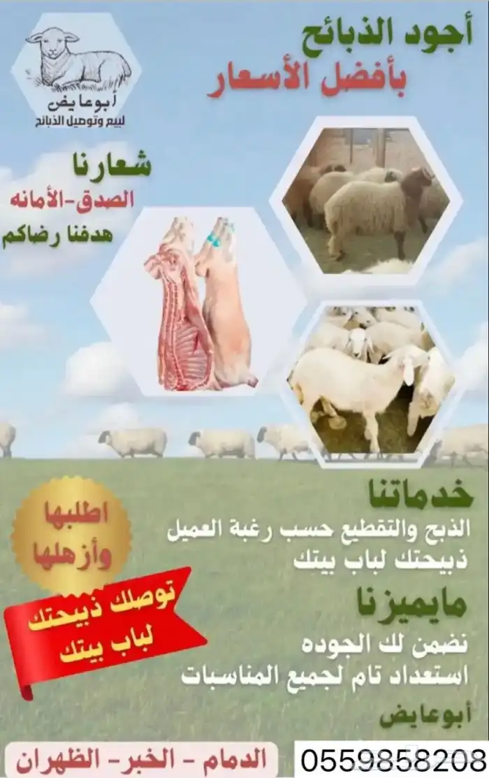 تيوس جنوبية تم البيع خارج الموقع 0