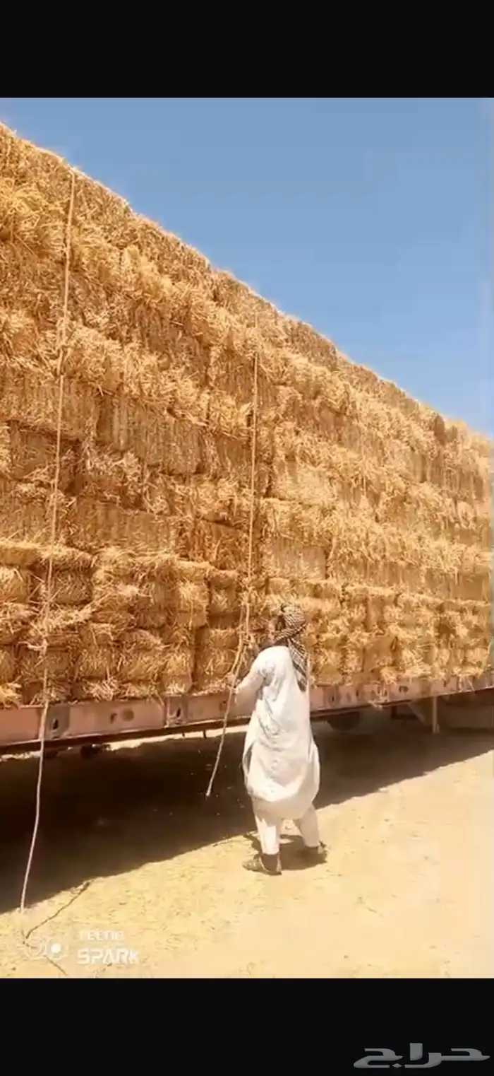 تبن بر 1