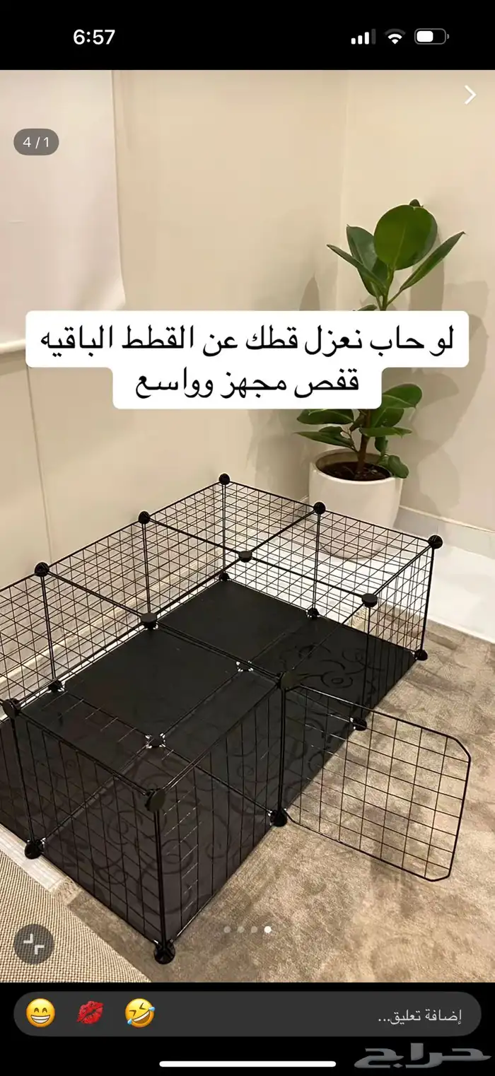 الي عنده مستلزمات قطط ومايحتاجها يكلمني 0