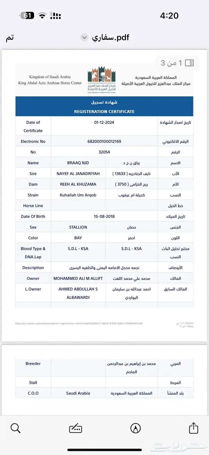 حصان مكس نسب ابطال سبوق وحي واهو 5