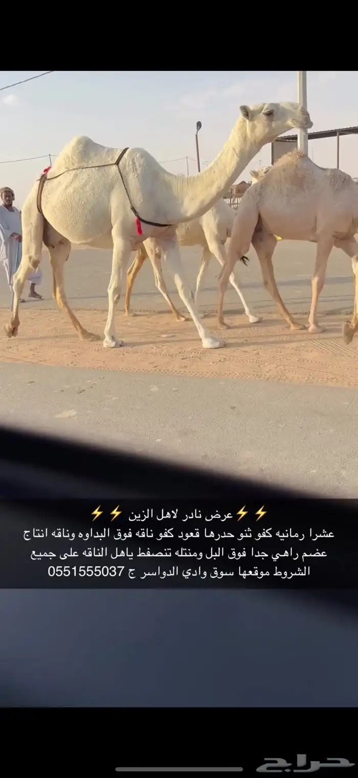 عشرا كفو 2